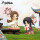 HEAVEN OFFICIALS BLESSING Dan Qing Feng Hua TF