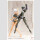 Sousai Shojo Teien Plastic Model Kit 1/10 Training Wolf 16 cm