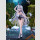 Playing Death Games to Put Food on the Table PVC Statue 1/7 Yuki 27 cm