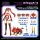 Zoids Plastic Model Kit 1/10 Mv-01a Ao Kiriyama & Blade Liger Dress Code #scarlet 18 cm