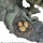 CAPCOM FIGURE BUILDER CREATORS MODEL Monster Hunter RATHIAN Ver. 2.0 | カプコンフィギュアビルダー クリエイターズモデル モンスターハンター 雌火竜 リオレイア Ver.2.0