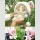 CROSSING SPRING BIG Blind Box
