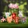 FOREST PARTY Series Blind Box