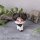Jujutsu Kaisen Lookup PVC-Figur Choso 11 cm