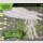 POKEMON TOP-TRAINER-BOX Mega Evolution OPTIMALE ORDNUNG (DE) => MAX 1 STK. PRO KUNDE