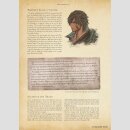 LOGOS The World of Final Fantasy XVI [Hardcover]