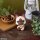 Monster Hunter Look Up PVC Figur Airou 11 cm