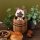 Monster Hunter Look Up PVC Figur Airou 11 cm