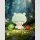 MORI NO HONOAKARI Blind Box