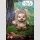 STAR WARS Hot Toys ★Ewoks★ Blind Box