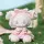 LUCKY EMMA Secret Forest Garden Party Series Blind Box