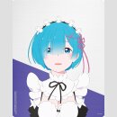 Re:ZERO -Starting Life in Another World- Staffel 1 Steelbook Gesamtausgabe [Blu Ray] Director´s Cut