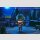 Zenless Zone Zero Nendoroid Actionfigur Lighter 10 cm