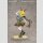 Arknights Gift+ PVC Figur 1/8 Amiya Wildlight Wander Ver. 22 cm