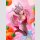 Onii-chan Ha Oshimai! PVC Figur 1/7 Mahiro Oyama Bunny girl Style 22 cm