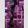 Original Character PVC Figur 1/6 Miu Kurokawa illustration by YD 25 cm