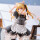 Oshi no Ko PVC Figur 1/6 Ruby (Cat Maid Ver.) Limited Edition 27 cm  ★★Jeeg Best Price 28.08.2026★★