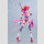 Cutie Honey Nova Plamatea Plastic Model Kit Cutie Honey (re-run) 17 cm