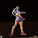 Street Fighter Street Jam Statuen 1/10 Sakura & Sodom 22 cm