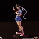 Street Fighter Street Jam Statuen 1/10 Sakura & Sodom 22 cm