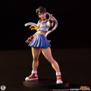 Street Fighter Street Jam Statuen 1/10 Sakura & Sodom 22 cm