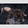 Elden Ring Figma Actionfigur Torrent, the Spectral Steed 18 cm