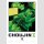 Choujin X vol. 12