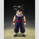 Dragon Ball Z-fighters Son Gohan Limited Ed Group Base A...