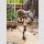 Bunny Suit Planning Figma Actionfigur Silva Barrelline 17 cm