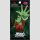 WEISS SCHWARZ CARD GAME BOOSTER PACK Dandadan vol. 2 -JP-
