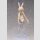 Bunny Suit Planning PVC Figur 1/4 Sophia F. Shirring Reverse Bunny Ver. (White Edition) 48 cm