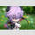 Genshin Impact PVC Figur Durin Floral Wanderings Ver. with Bonus 13 cm