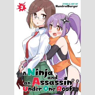 A Ninja and an Assassin Under One Roof vol. 3