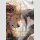 The Trapped Beast Bd. 2 [Webtoon]