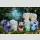TUTULONG Gloomy Grove Series Blind Box