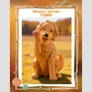 FIRST TOUCH ★DOGS★ Series TF