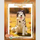 FIRST TOUCH ★DOGS★ Series TF
