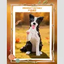 FIRST TOUCH ★DOGS★ Series TF
