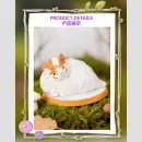 FIRST RUB ★CATS★ Series TF