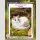 FIRST RUB ★CATS★ Series TF