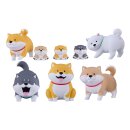 SHIBANBAN TF