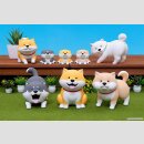 SHIBANBAN TF