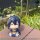 Touken Ranbu-ONLINE Look Up PVC Figur Munechika Mikazuki 11 cm  ★★★Jeeg Best Price 23.09.2026★★★