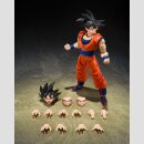 BANDAI SPIRITS S.H.FIGUARTS Dragon Ball Z SON GOKU ★The Kind-Hearted Saiyan★