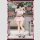 GALHolic Plastic Model Kit Momoka 17 cm