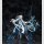 Fate/Grand Order PVC Figur 1/7 Berserker/Morgan Final Ascension Ver. 38 cm  ★★★Jeeg Best Price 02.10.2026★★★