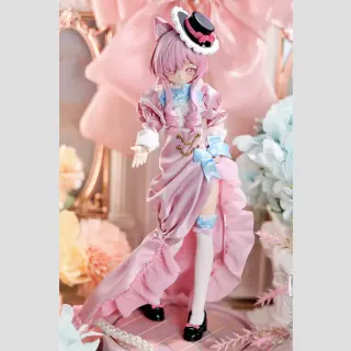 THE PARADOX WORLD SERIES Action Doll Special Design SCHRODINGERS CAT