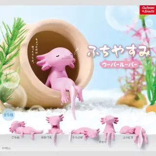 Fuchiyasumi Axolotl TF