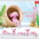 Fuchiyasumi Axolotl TF