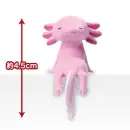 Fuchiyasumi Axolotl TF